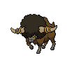 Dark Bouffalant